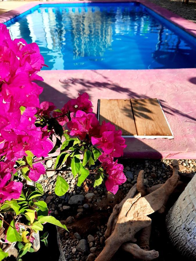 Cataviento Hotel Tecoanapa エクステリア 写真
