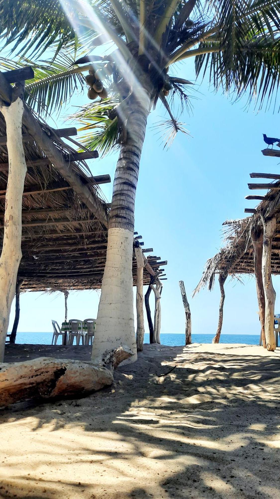 Cataviento Hotel Tecoanapa エクステリア 写真